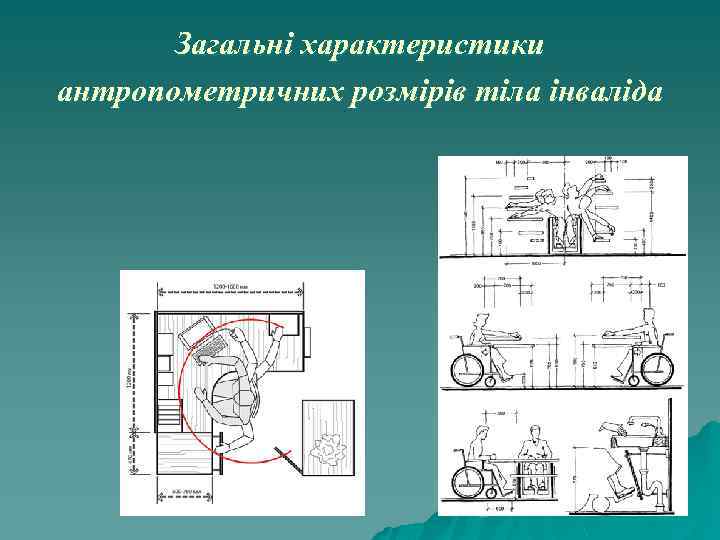 Загальні характеристики антропометричних розмірів тіла інваліда 