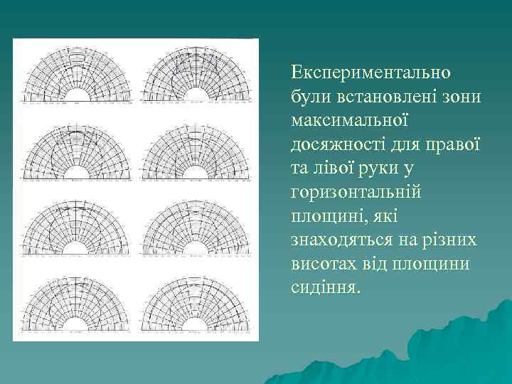 Експериментально були встановлені зони максимальної досяжності для правої та лівої руки у горизонтальній площині,