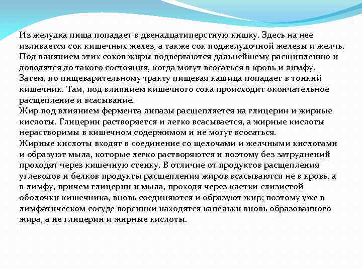 Из желудка пища попадает в двенадцатиперстную кишку. Здесь на нее изливается сок кишечных желез,
