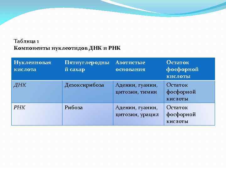 Белки жиры углеводы химия 9 класс презентация