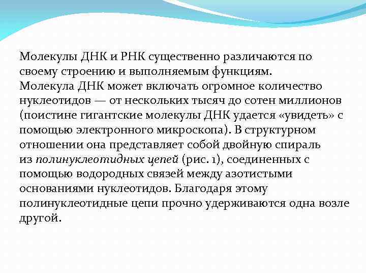 Молекулы ДНК и РНК существенно различаются по своему строению и выполняемым функциям. Молекула ДНК