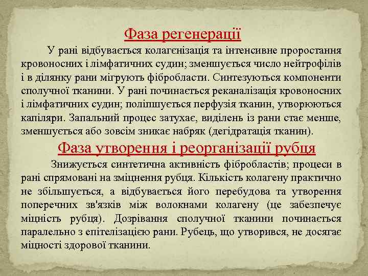 Фаза регенерації У рані відбувається колагєнізація та інтенсивне проростання кровоносних і лімфатичних судин; зменшується