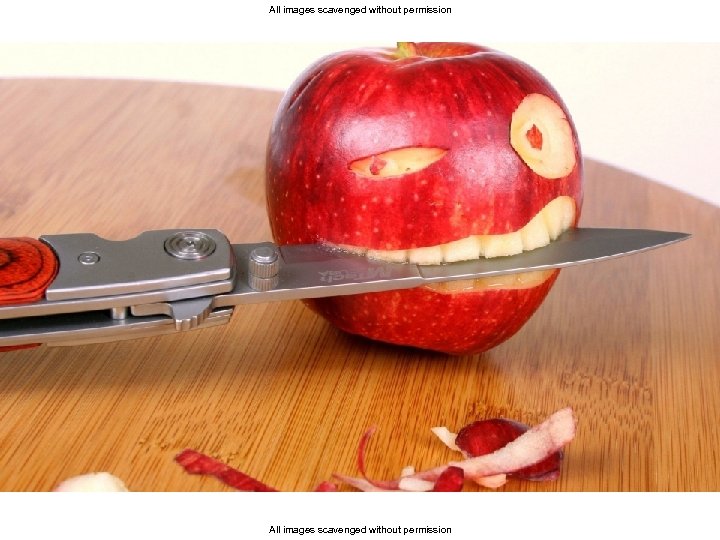 All images scavenged without permission 