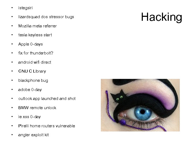  • istegsiri • lizardsquad dos stressor bugs • Mozilla meta referrer • tesla