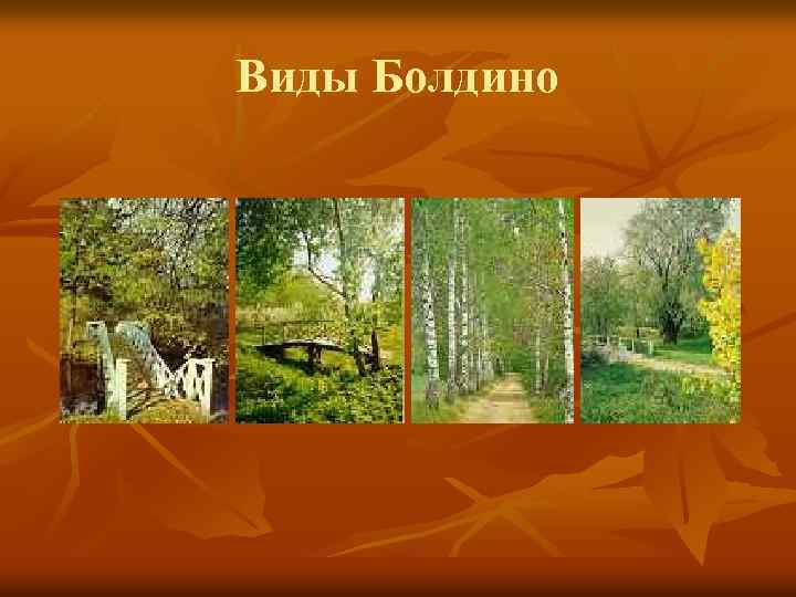 Виды Болдино 
