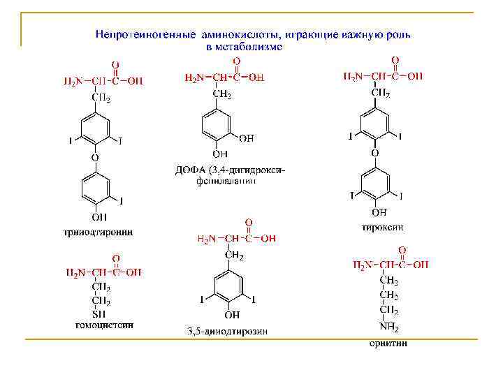 Аминокислоты относятся к соединениям. Непротеиногенные аминокислоты.