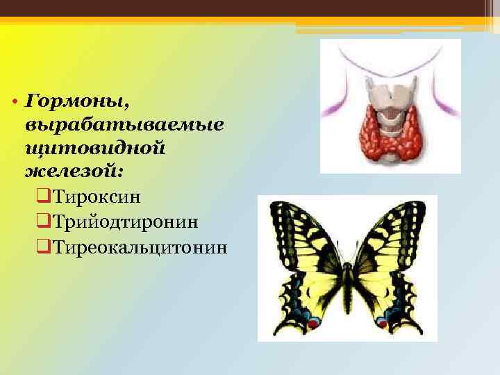  • Гормоны, вырабатываемые щитовидной железой: q. Тироксин q. Трийодтиронин q. Тиреокальцитонин 