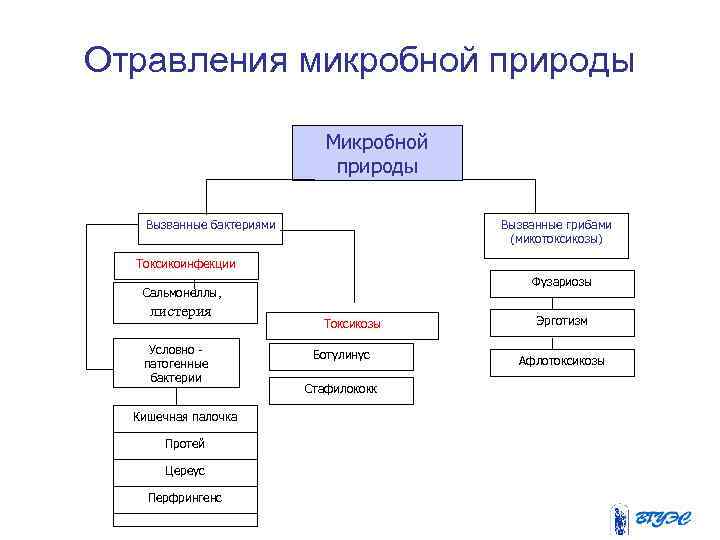 Отравления микробной природы Микробной природы Вызванные бактериями Вызванные грибами (микотоксикозы) Токсикоинфекции Фузариозы Сальмонеллы, листерия