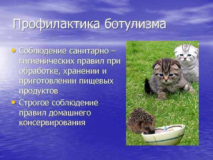 Профилактика ботулизма • Соблюдение санитарно – • гигиенических правил при обработке, хранении и приготовлении