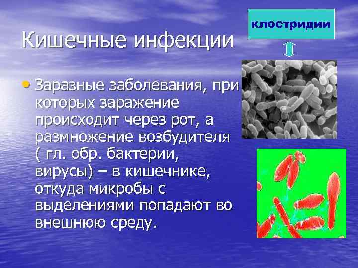 Кишечные инфекции • Заразные заболевания, при которых заражение происходит через рот, а размножение возбудителя