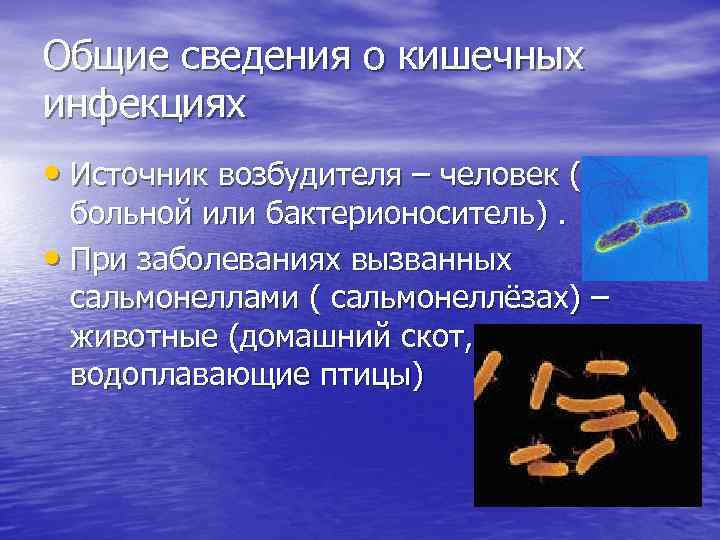 Общие сведения о кишечных инфекциях • Источник возбудителя – человек ( больной или бактерионоситель).