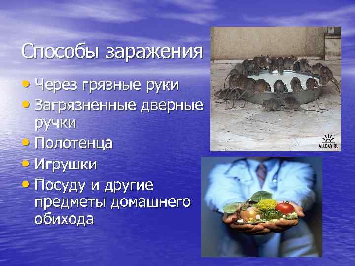 Способы заражения • Через грязные руки • Загрязненные дверные ручки • Полотенца • Игрушки