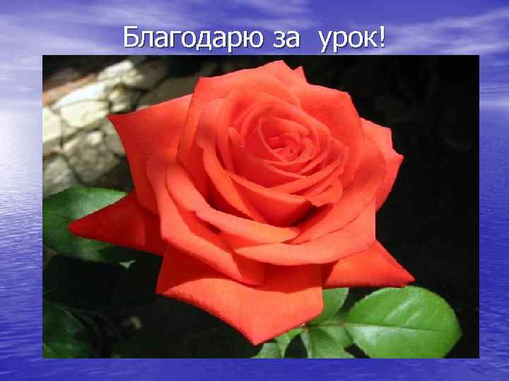 Благодарю за урок! 