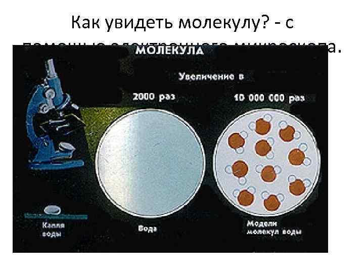 Как увидеть молекулу? - с помощью электронного микроскопа. 