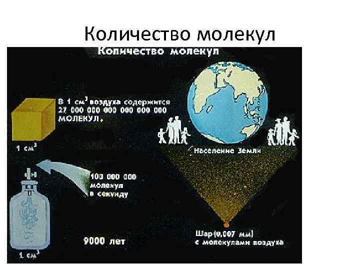 Количество молекул 