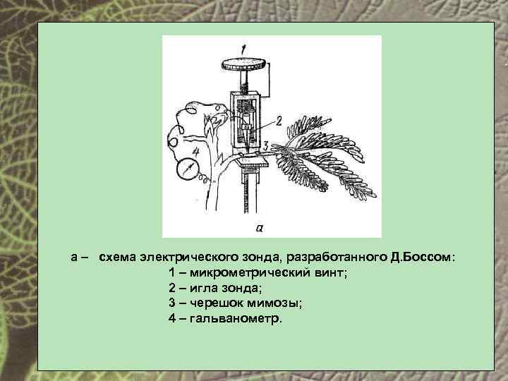 а – схема электрического зонда, разработанного Д. Боссом: 1 – микрометрический винт; 2 –