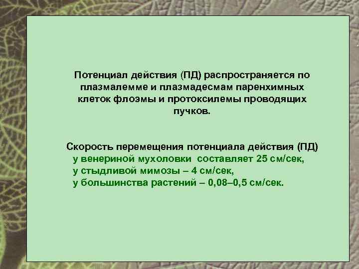 Потенциал действия (ПД) распространяется по плазмалемме и плазмадесмам паренхимных клеток флоэмы и протоксилемы проводящих