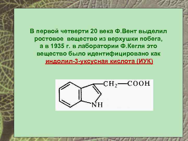 В первой четверти 20 века Ф. Вент выделил ростовое вещество из верхушки побега, а