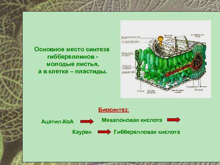 Место синтеза