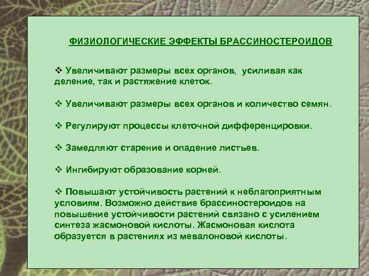 ФИЗИОЛОГИЧЕСКИЕ ЭФФЕКТЫ БРАССИНОСТЕРОИДОВ v Увеличивают размеры всех органов, усиливая как деление, так и растяжение