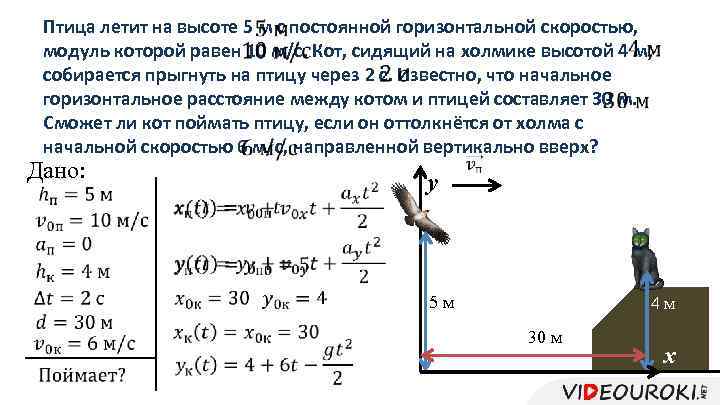 Птица летит на высоте 5 м с постоянной горизонтальной скоростью, модуль которой равен 10