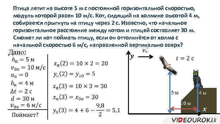 Птица летит на высоте 5 м с постоянной горизонтальной скоростью, модуль которой равен 10