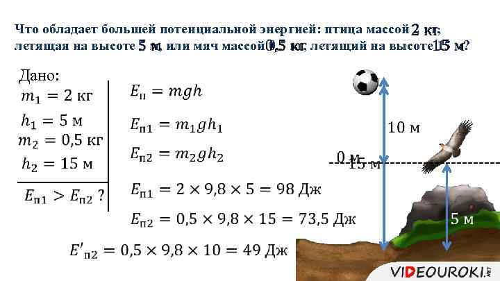 Что обладает большей потенциальной энергией: птица массой 2 кг, летящая на высоте 5 м,