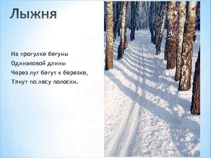 На прогулке бегуны Одинаковой длины Через луг бегут к березке, Тянут по лесу полоски.