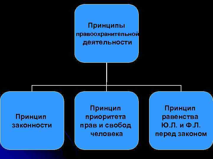 Принципы правоохранительной деятельности Принцип законности Принцип приоритета прав и свобод человека Принцип равенства Ю.