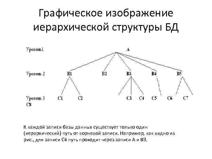 Графическое изображение иерархической структуры БД К каждой записи базы данных существует только один (иерархический)