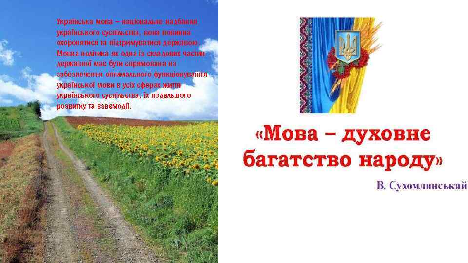 Українська мова – національне надбання українського суспільства, вона повинна охоронятися та підтримуватися державою. Мовна