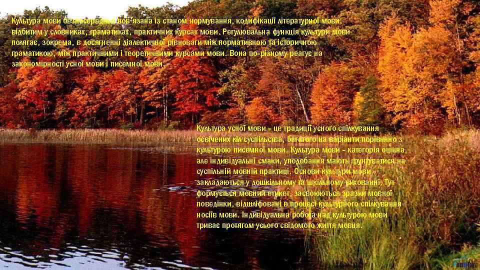 Культура мови безпосередньо пов’язана із станом нормування, кодифікації літературної мови, відбитим у словниках, граматиках,
