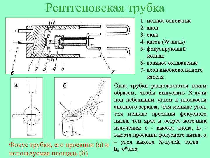 Рентгеновская трубка 7 6 а б Фокус трубки, его проекции (а) и используемая площадь