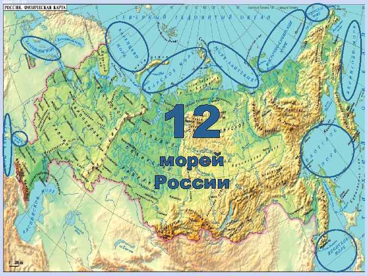 Карта россии материки и океаны