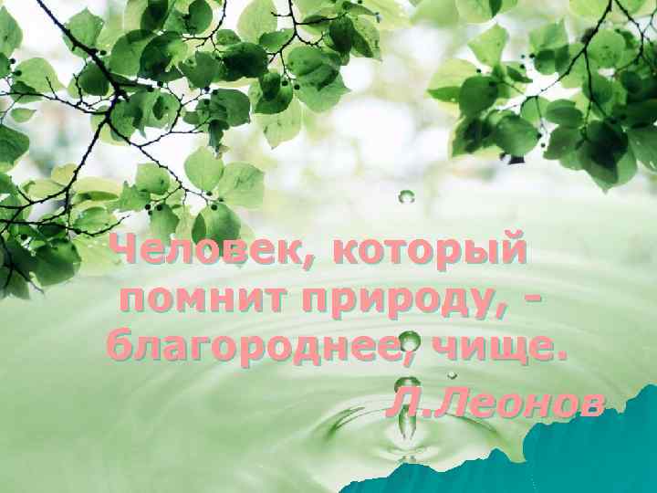 Человек, который помнит природу, благороднее, чище. Л. Леонов 