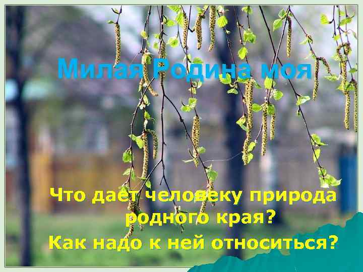 Милая Родина моя Что дает человеку природа родного края? Как надо к ней относиться?