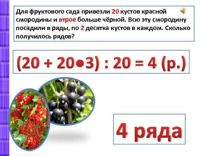 Для фруктового сада привезли 20 кустов красной смородины и втрое больше чёрной. Всю эту