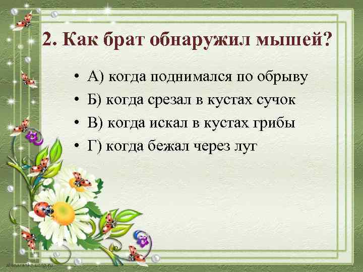 2. Как брат обнаружил мышей? • • А) когда поднимался по обрыву Б) когда