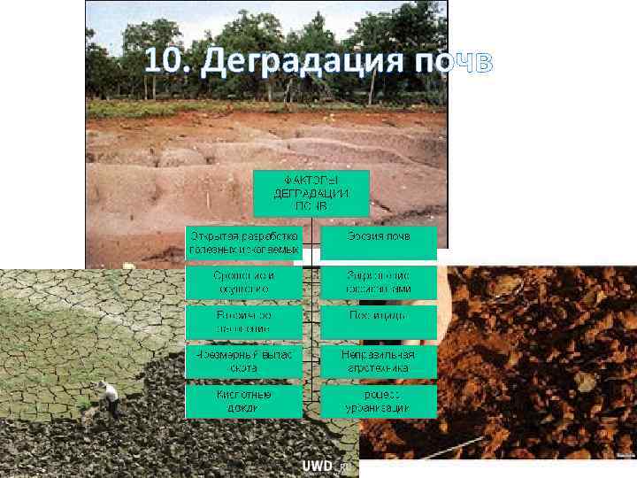 Презентация деградация почвенного покрова