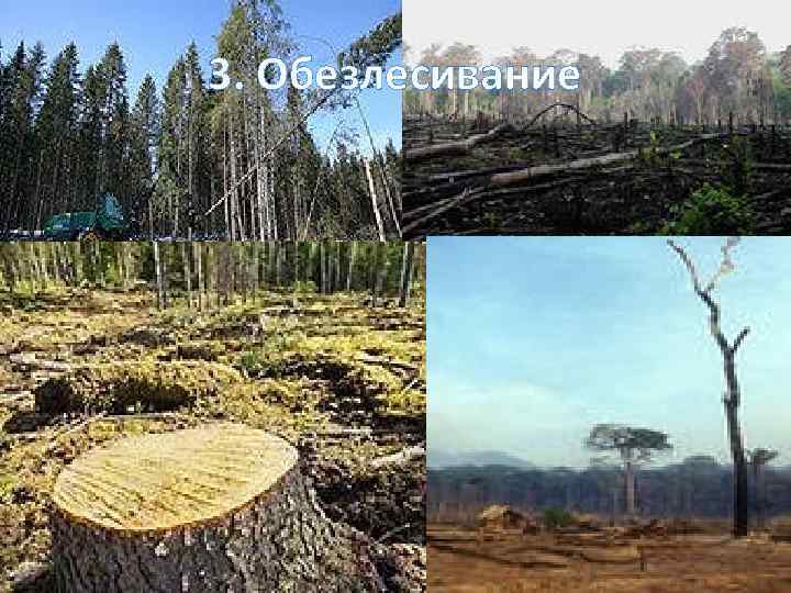 3. Обезлесивание 