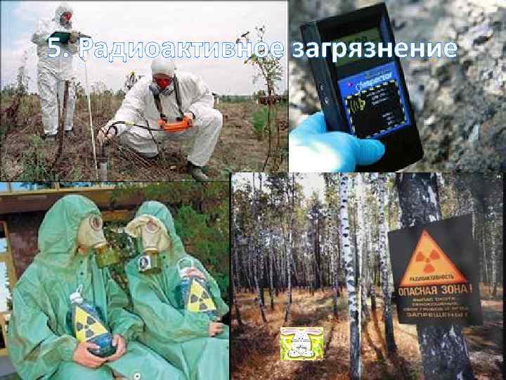 5. Радиоактивное загрязнение 