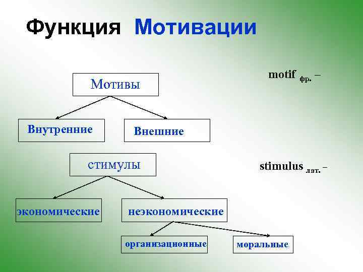 Функция Мотивации Мотивы Внутренние фр. – Внешние стимулы экономические motif stimulus лат. – неэкономические