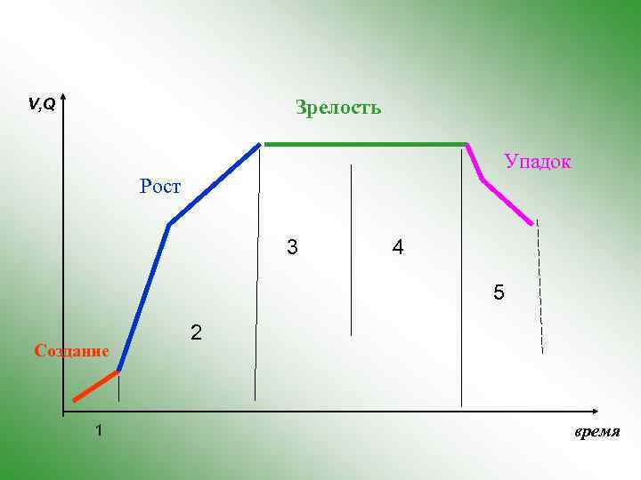 V, Q Зрелость Упадок Рост 3 4 5 Создание 1 2 время 