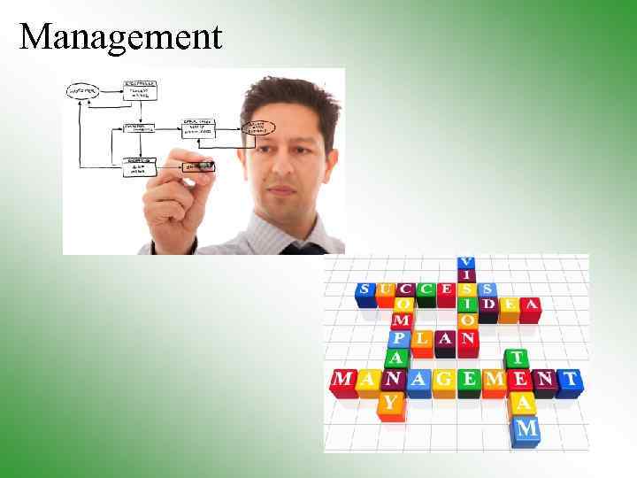 Management 