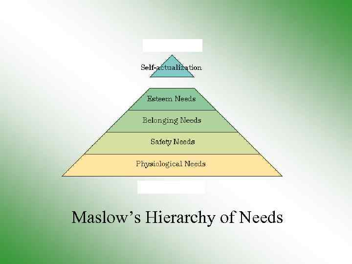 Maslow’s Hierarchy of Needs 