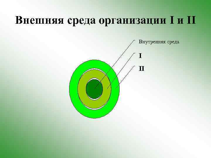 Внешняя среда организации I и II Внутренняя среда I II 