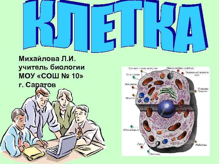 Михайлова Л. И. учитель биологии МОУ «СОШ № 10» г. Саратов 