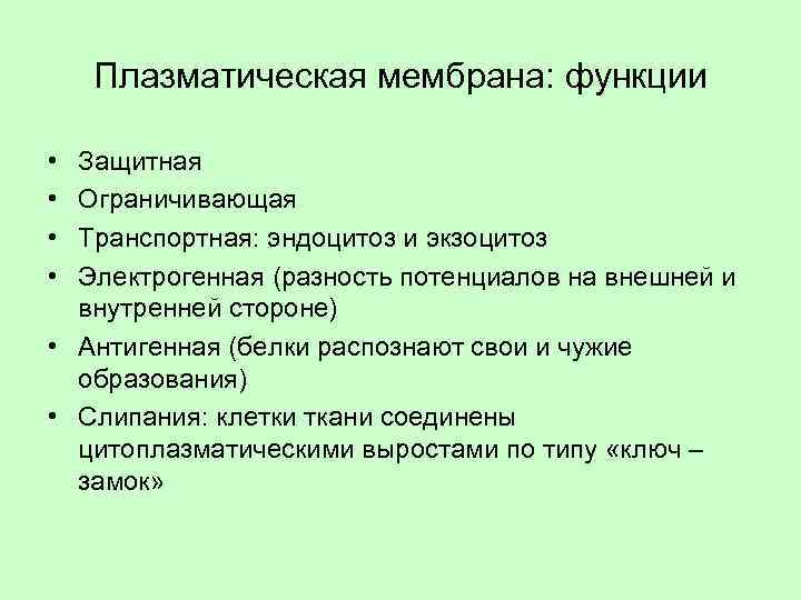 Какую функцию выполняет мембрана клетки. Функции плазматической мембраны в клетке. Функции плазматической мембраны. Характеристика функций плазматической мембраны в клетке. Плазматическая мембрана структура и функции.