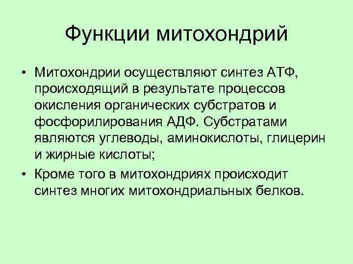 Функции митохондрий • Митохондрии осуществляют синтез АТФ, происходящий в результате процессов окисления органических субстратов