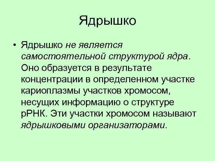 Ядрышко • Ядрышко не является самостоятельной структурой ядра. Оно образуется в результате концентрации в